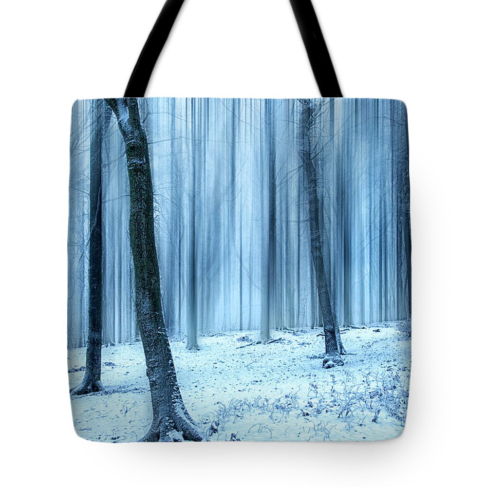 Forest Tote Bag featuring the photograph A Forest in Winter by David Lichtneker