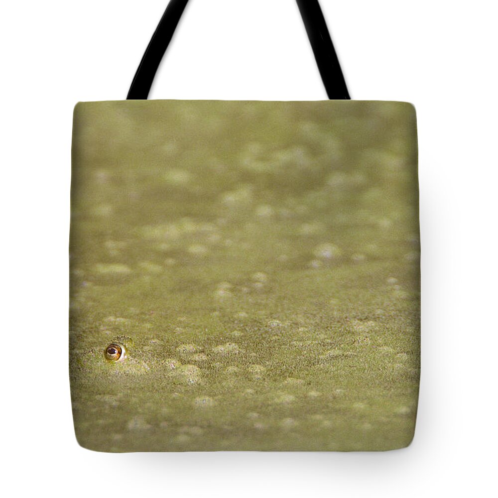 Amphibian Tote Bag featuring the photograph A Frogs Eye in Pond Muck by John Harmon