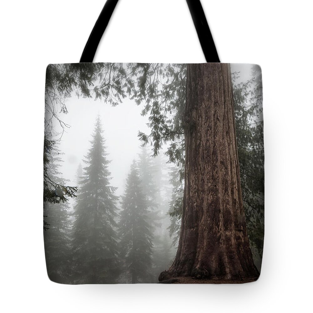 Sequoias Tote Bag featuring the photograph A Giant in the Fog by Belinda Greb