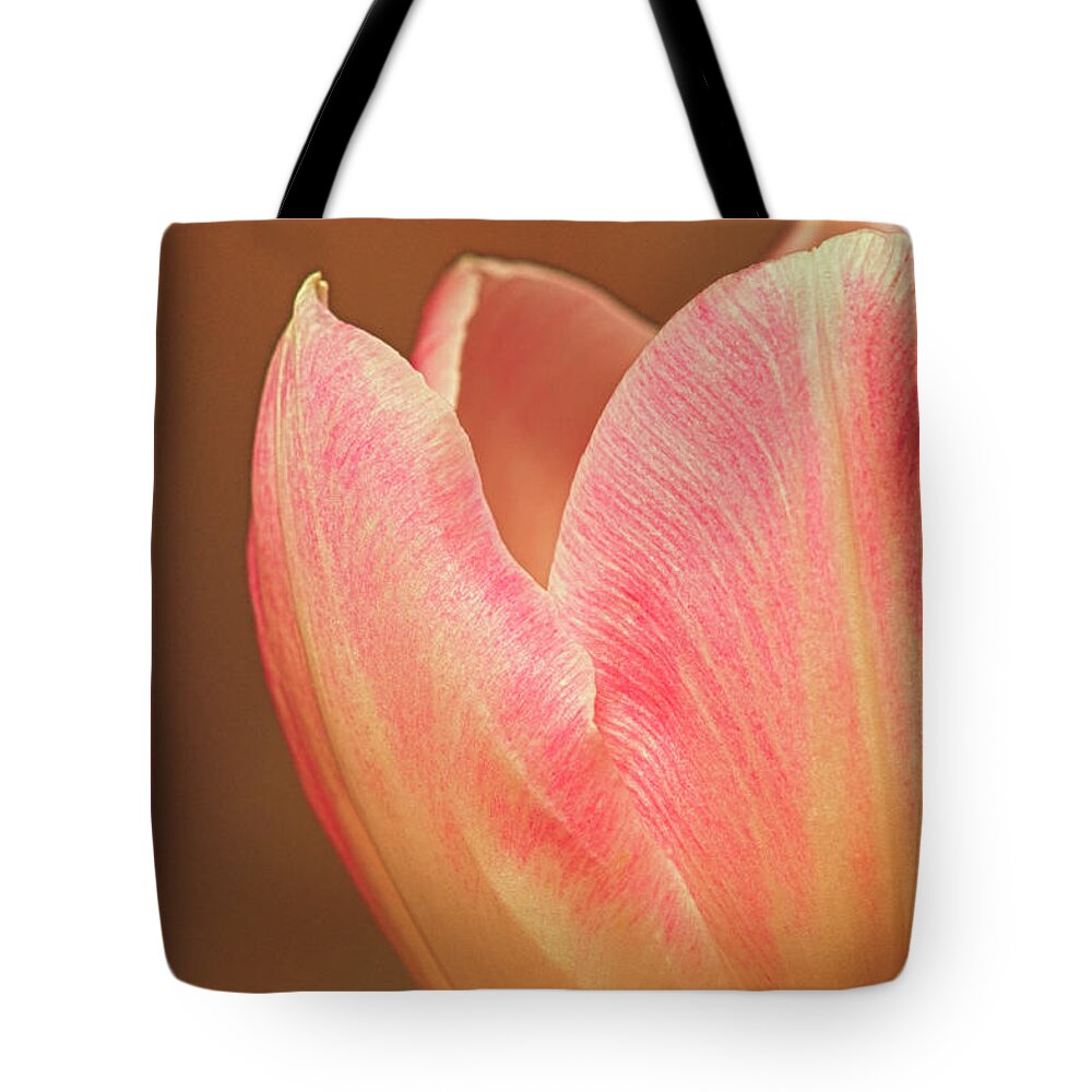 Tulip Tote Bag featuring the photograph A Gift Of Spring by Sandra Bronstein