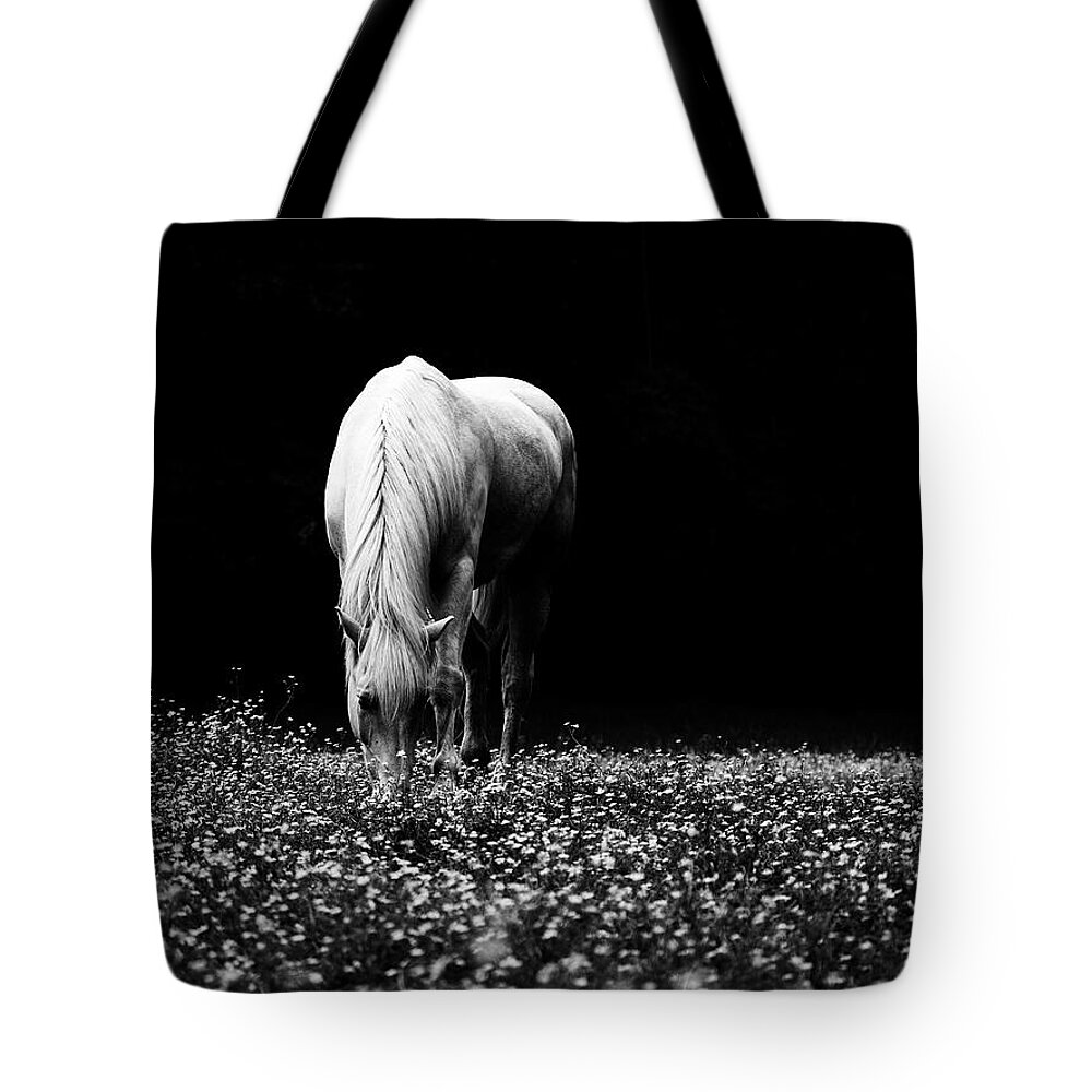 Horse Tote Bag featuring the photograph Black and White Grazing Horse 1 by Rachel Morrison