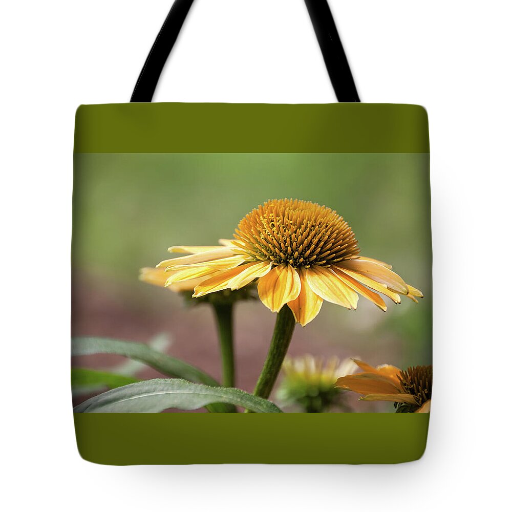 Golden Echinacea Tote Bag featuring the photograph A Golden Echinacea - by Julie Weber