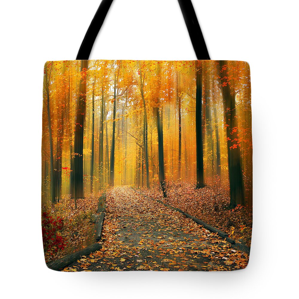 Autumn Tote Bag featuring the photograph A Golden Passage by Jessica Jenney