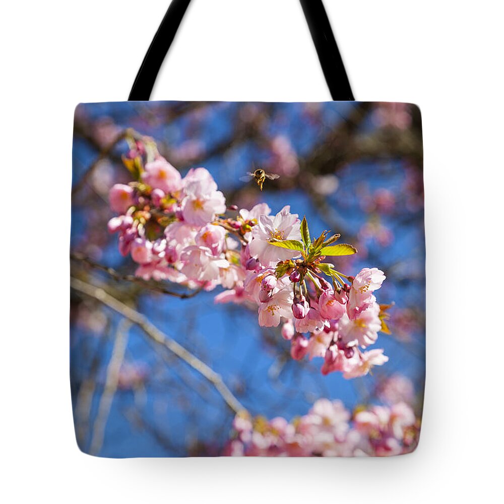 Garden Tote Bag featuring the photograph A gorgeous Japanese flowering cherry by Gina Koch
