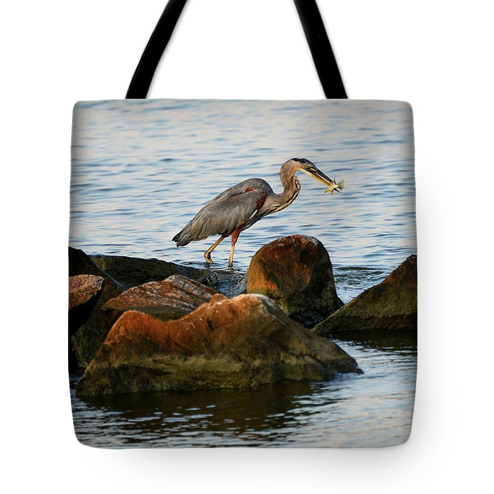 Ardea Herodias Tote Bag featuring the photograph A Great Blue Heron Day by Patrick Wolf