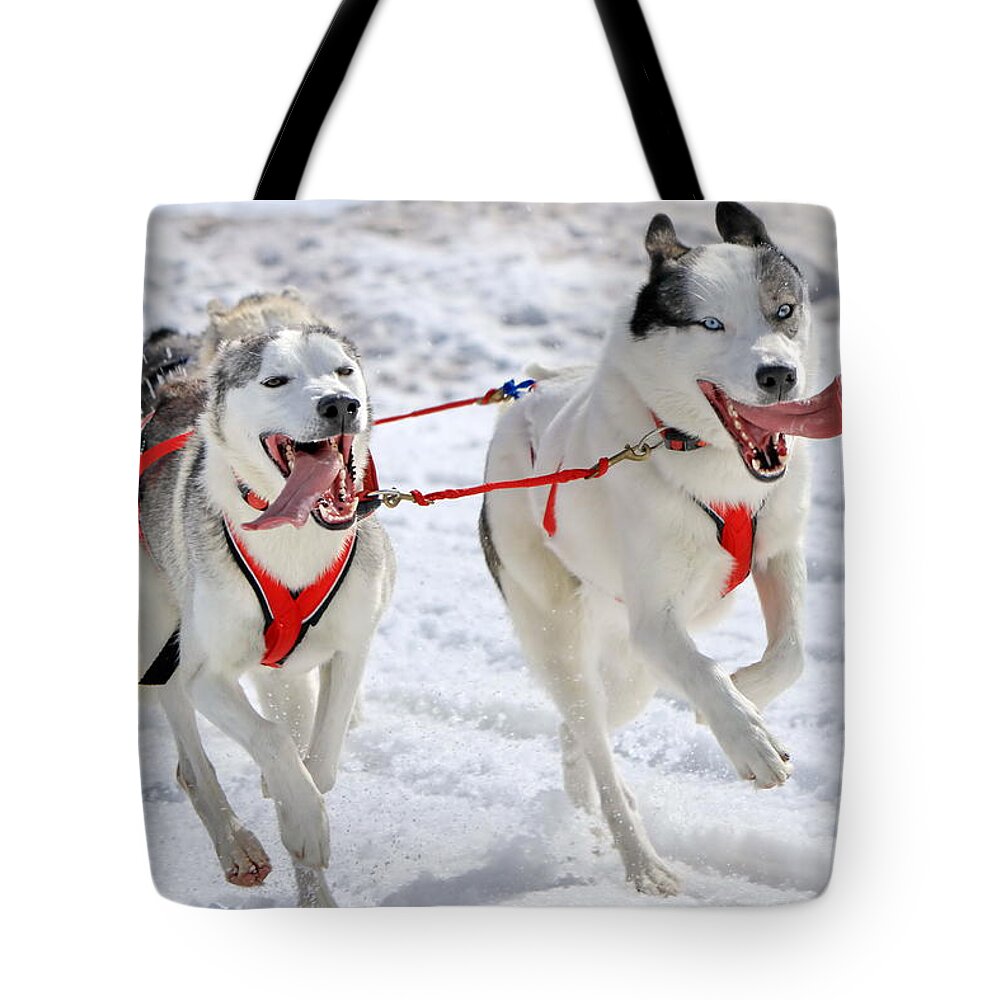 Action Tote Bag featuring the photograph A husky sled dog team at work by Elenarts - Elena Duvernay photo