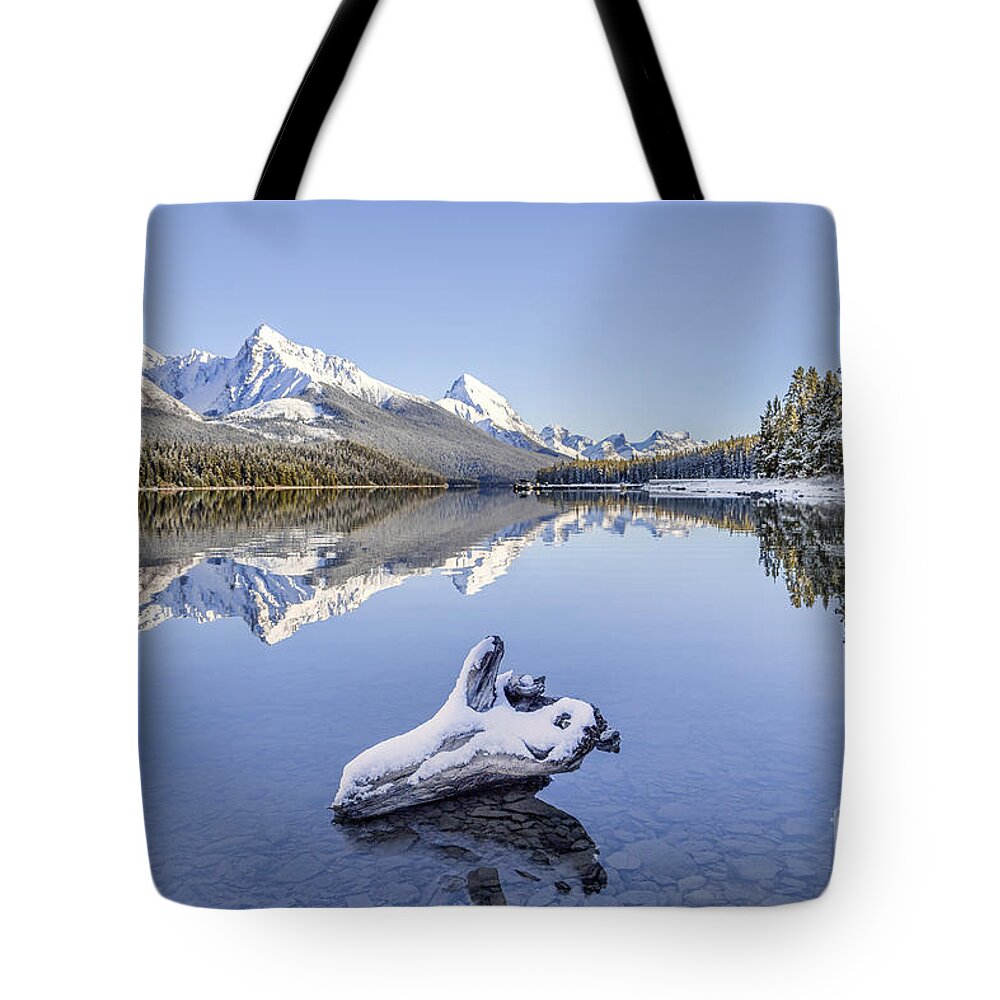 Kremsdorf Tote Bag featuring the photograph A Kiss Of Winter by Evelina Kremsdorf