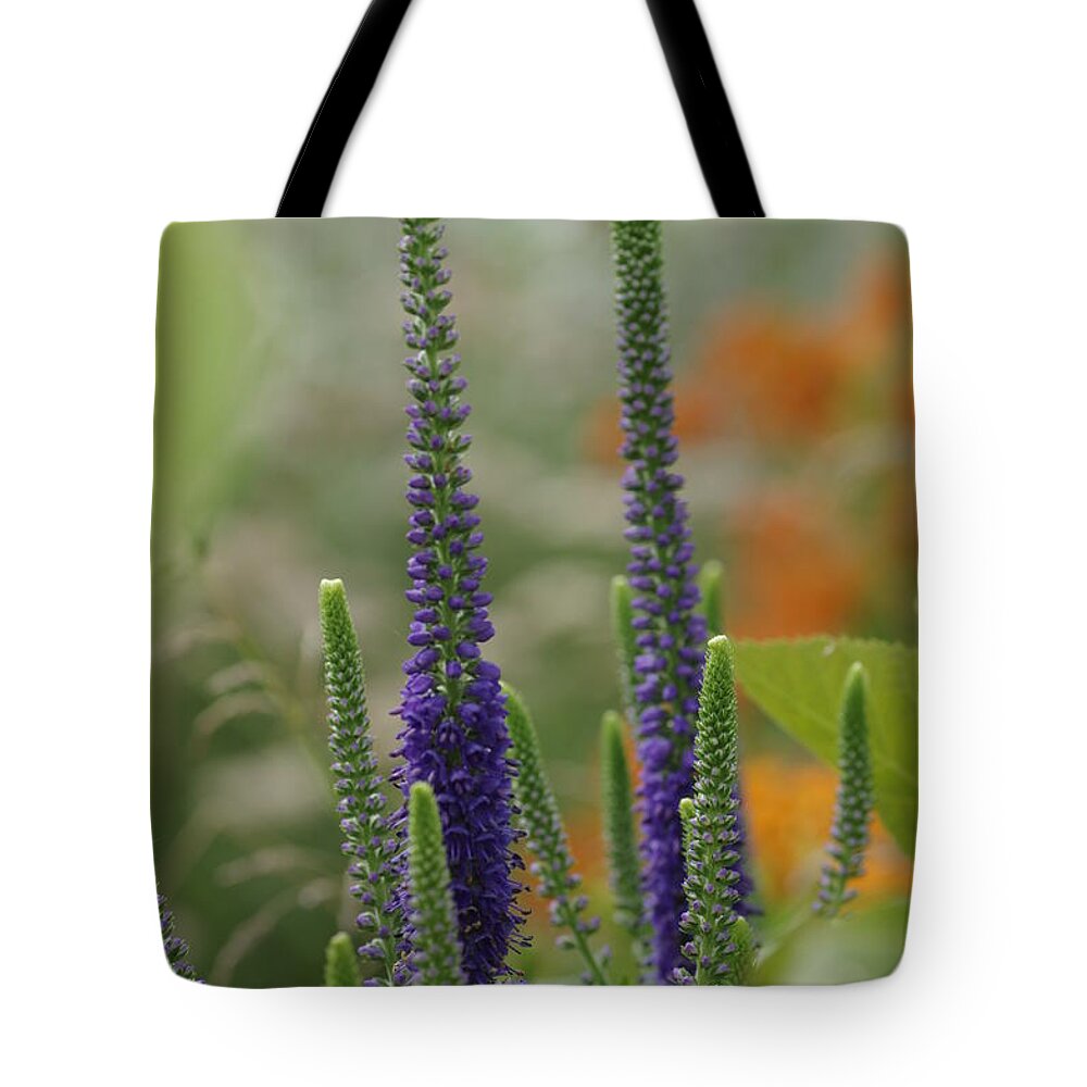 Purple Tote Bag featuring the photograph A Lancaster Garden by Greg Graham