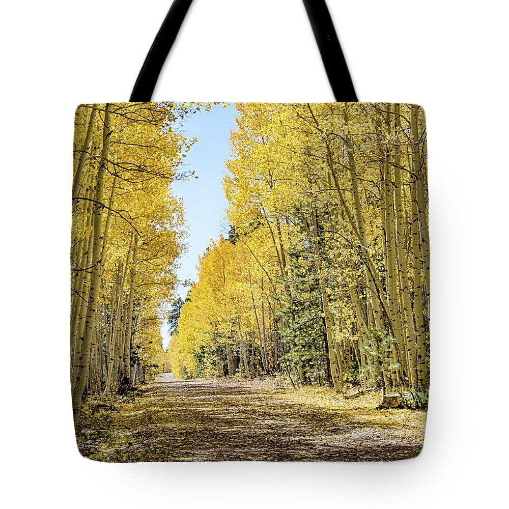 Quaking Aspen Tote Bag featuring the photograph A Lane of Gold by Gaelyn Olmsted