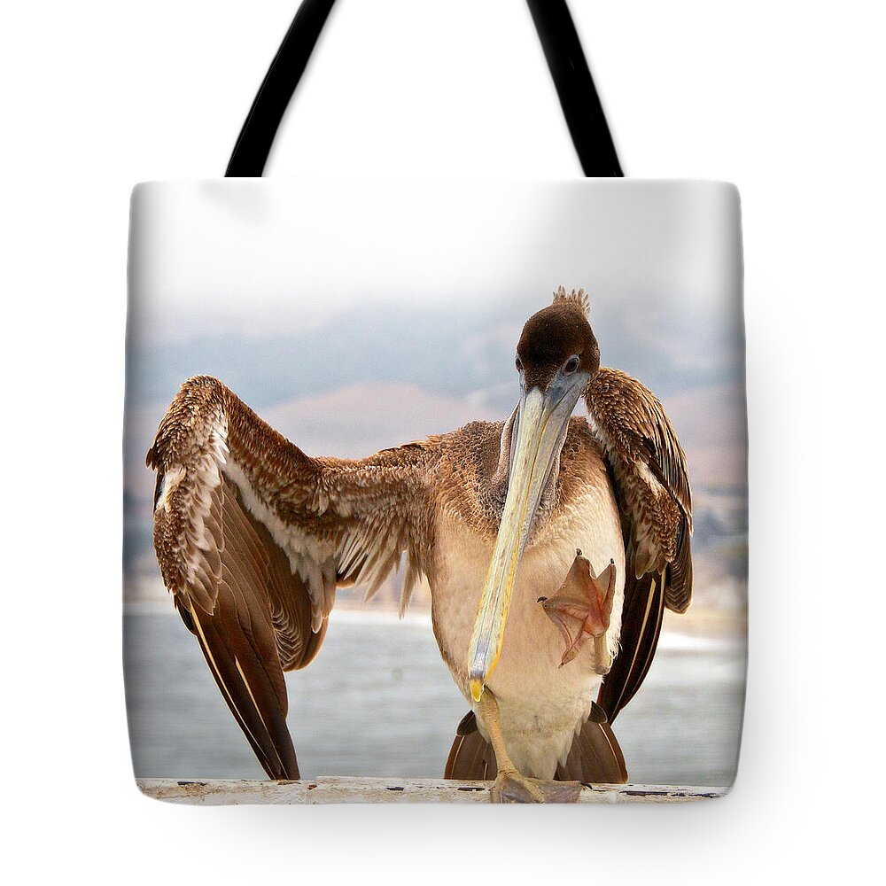 Nature Tote Bag featuring the photograph A Leg Up, Brown Pelican by Zayne Diamond