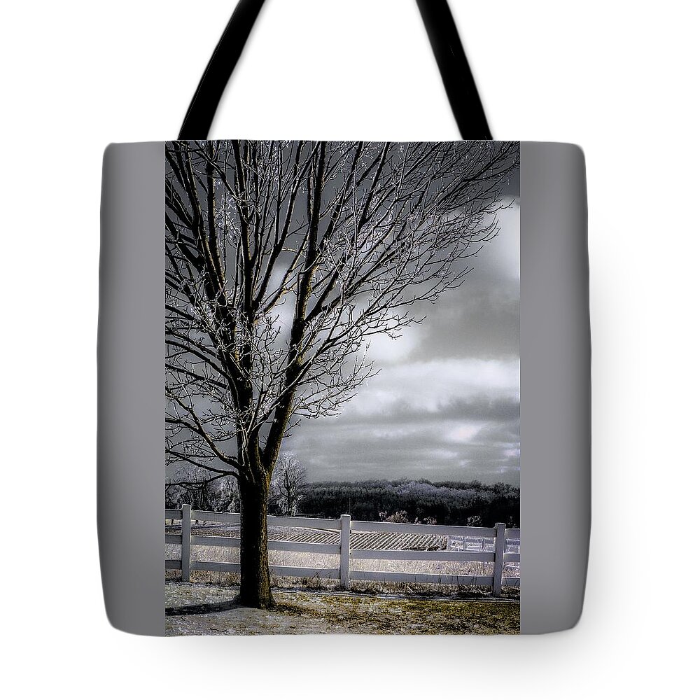 Cloudy Day Tote Bag featuring the photograph A little Sun On A Cloudy Day by Karl Anderson