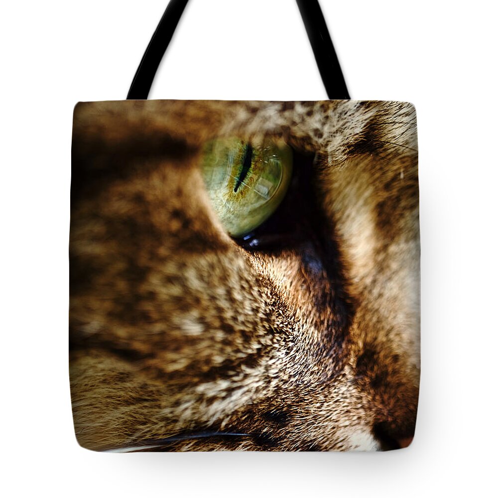 Macro Tote Bag featuring the photograph A Lookout by Rachel Morrison