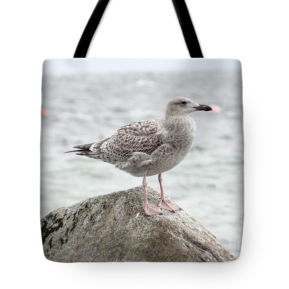 Gull Tote Bag featuring the photograph A moment of rest by Karin Ravasio