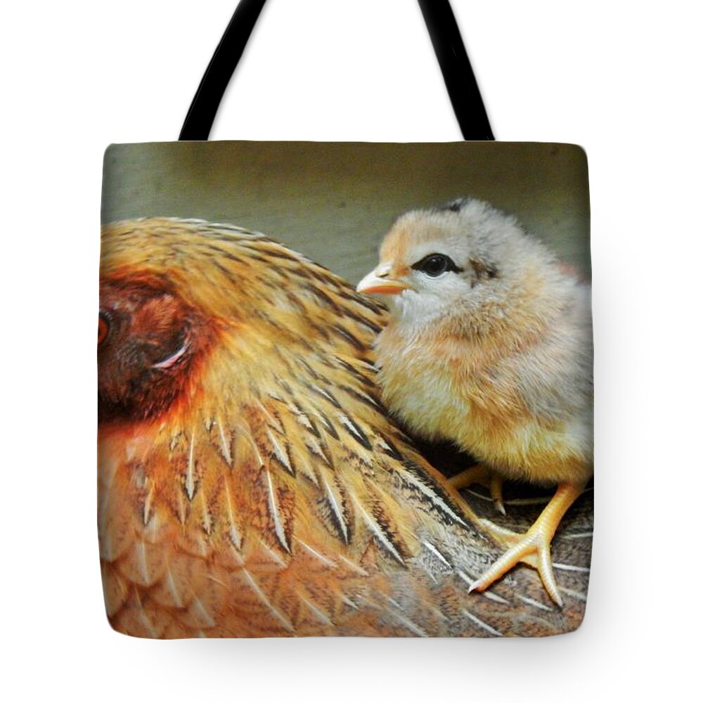 Wild Tote Bag featuring the photograph A Mother's Love by Jan Gelders