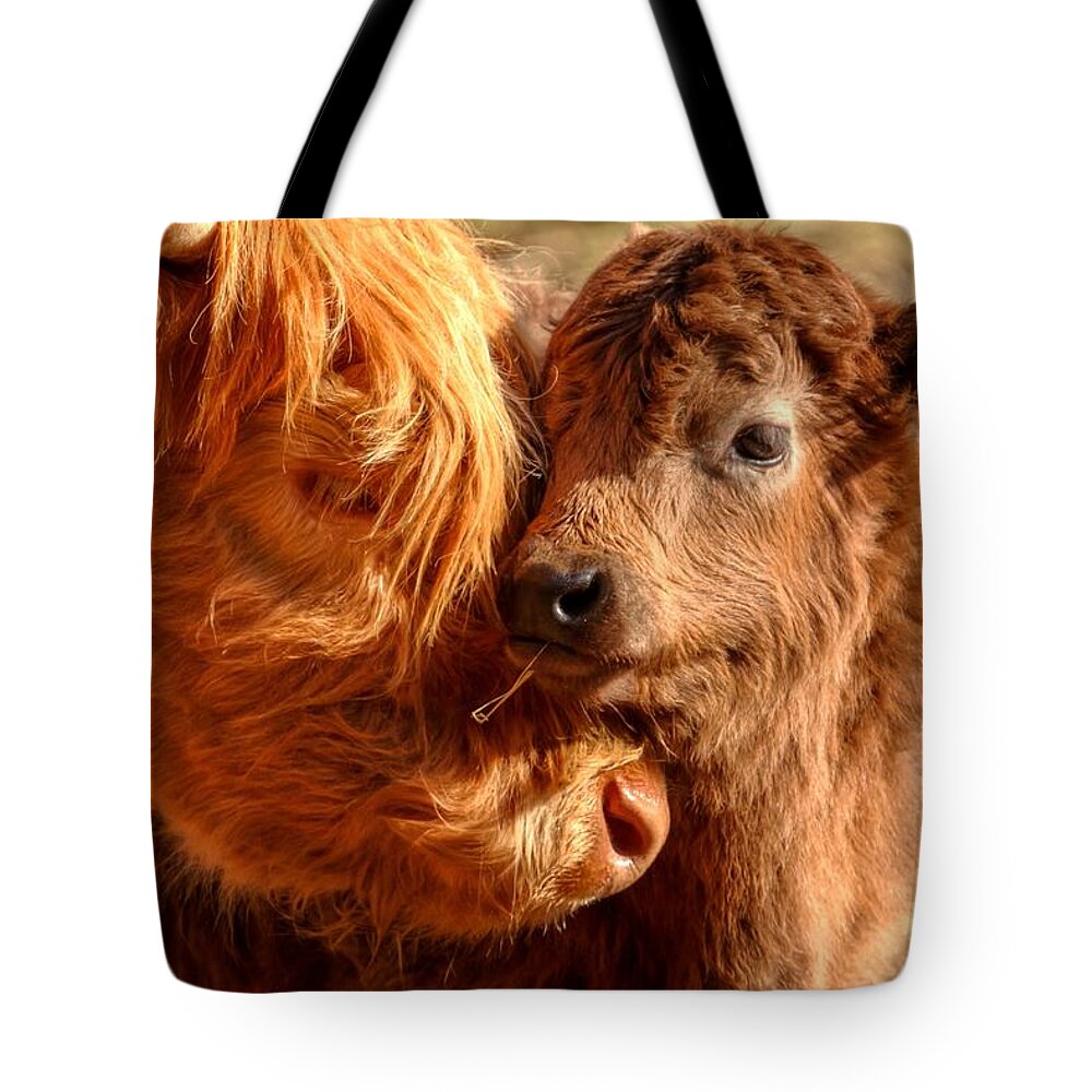 Cattle Tote Bag featuring the photograph A Mother's Love 0088 by Kristina Rinell