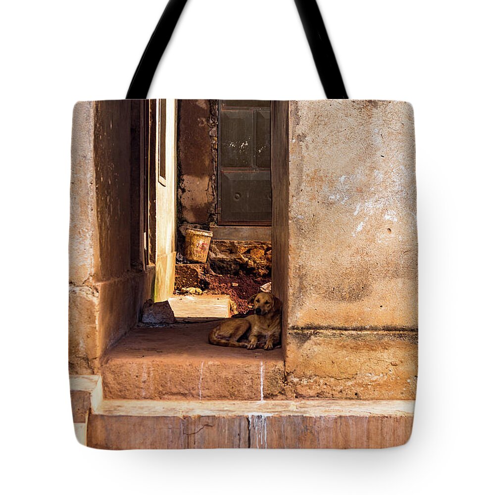 Africa Tote Bag featuring the photograph A Mothers Warmth by Tim Dussault