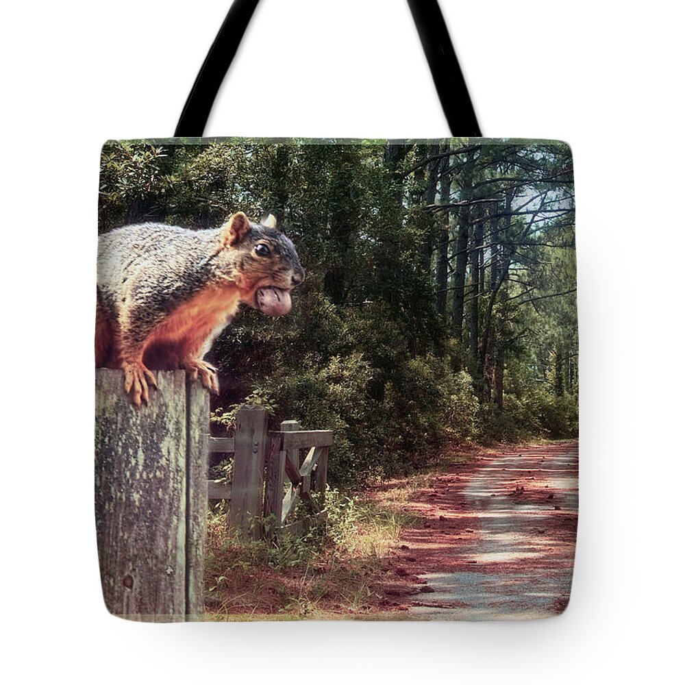 Squirrel Tote Bag featuring the photograph A Mouth Full by Bonnie Willis
