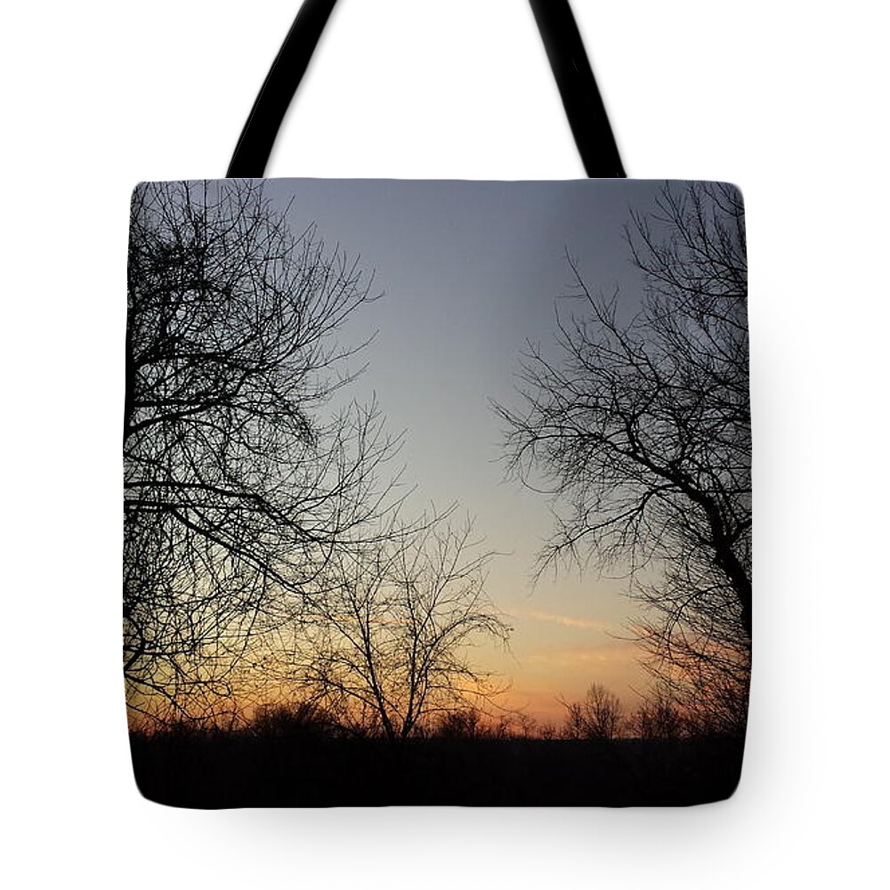 Every Day Is A New Opportunity For New Beginnings Tote Bag featuring the painting A New Day Dawning by Margaret Welsh Willowsilk