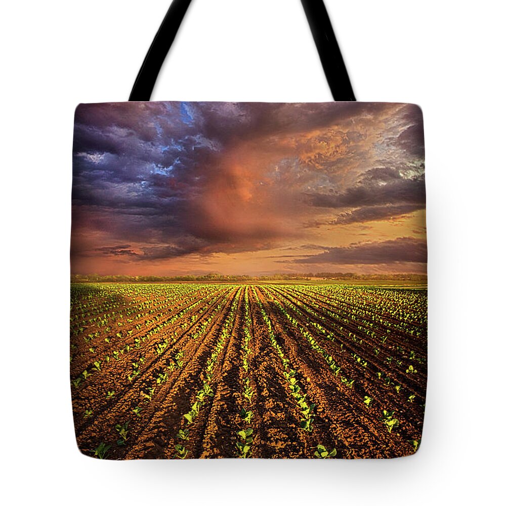 Spring Tote Bag featuring the photograph A New Season by Phil Koch
