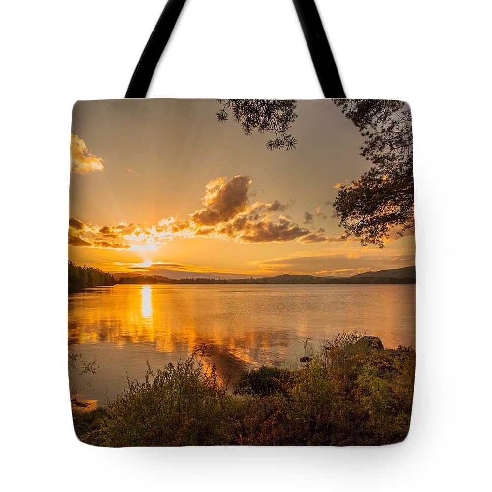 Beach Tote Bag featuring the photograph A New Summer by Rose-Maries Pictures