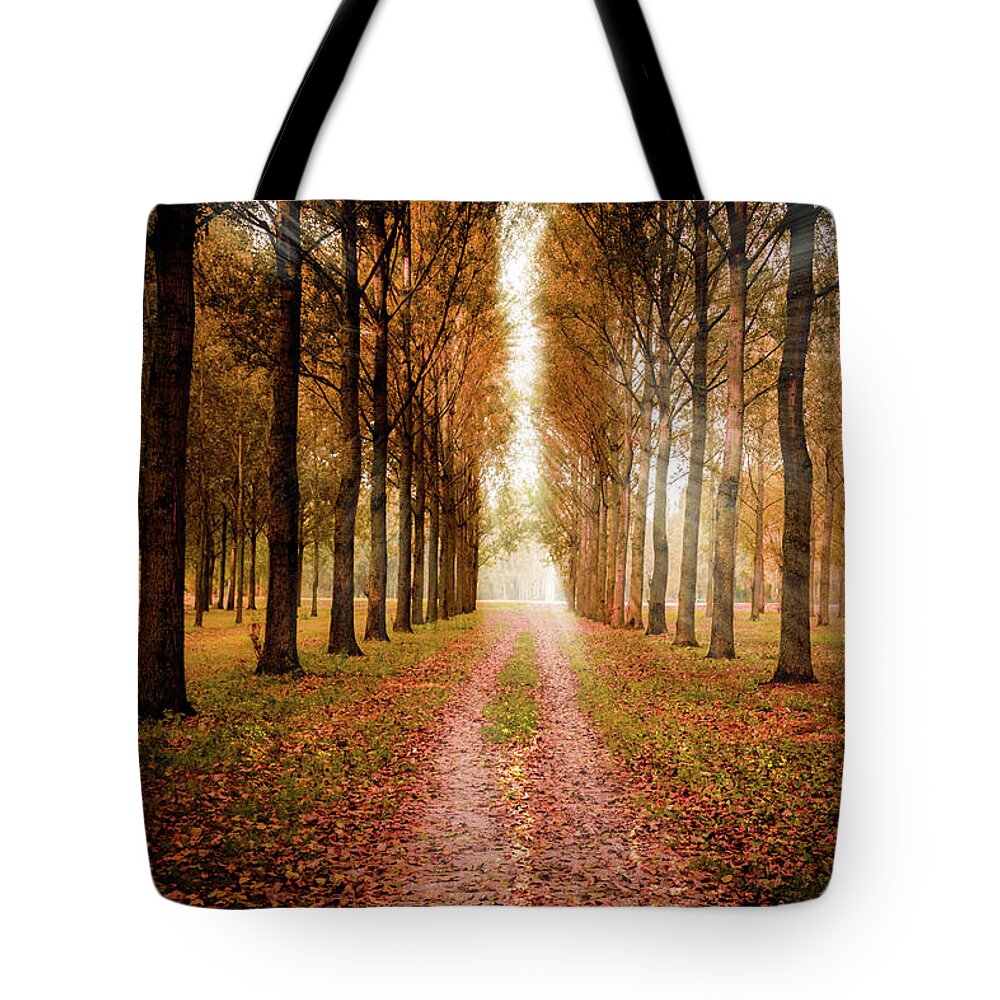 Autumn Tote Bag featuring the photograph A Nice Autumn Day by Adriana Zoon