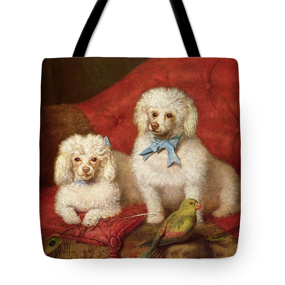 A Pair Of Poodles By English School (19th Century) Tote Bag featuring the painting A Pair of Poodles by English School