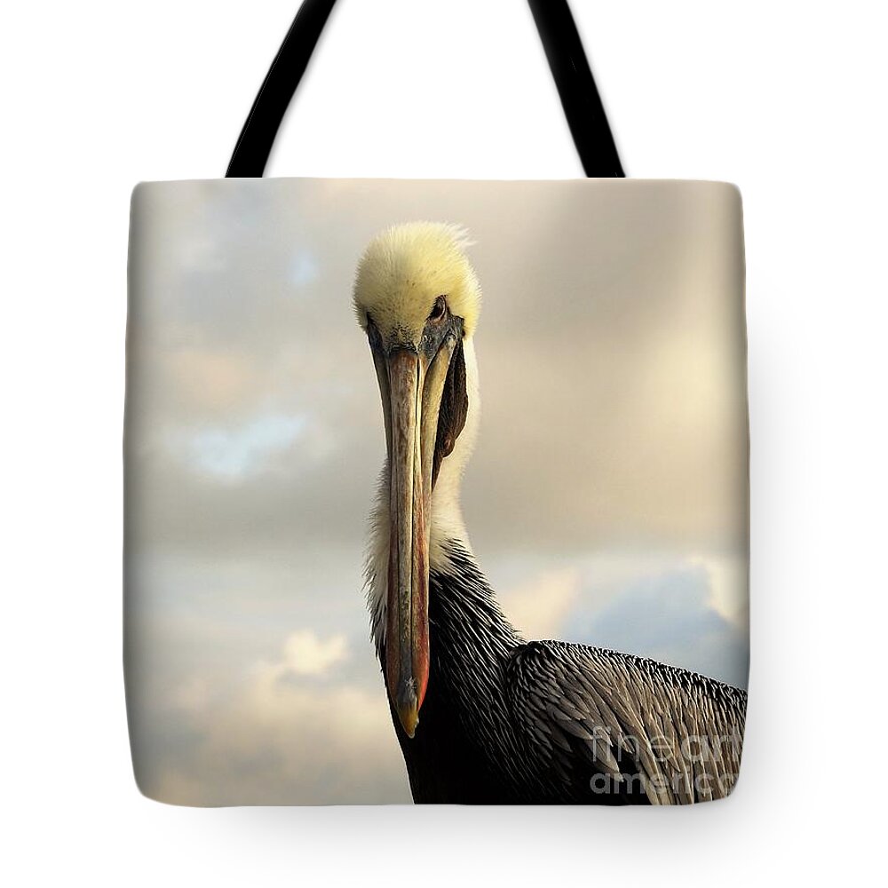 Pelican Tote Bag featuring the photograph A Pelican's Portrait by Jan Gelders