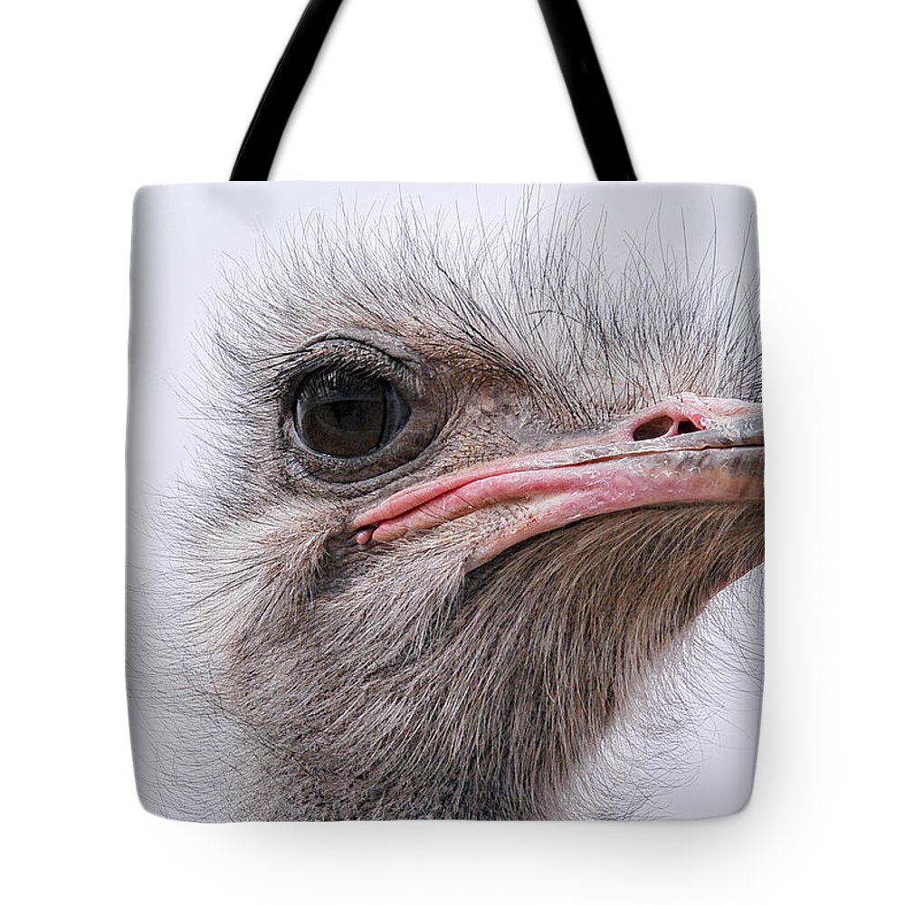 Ostrich Tote Bag featuring the photograph A Penny For Your Thoughts by Becky Titus