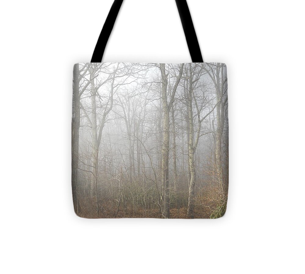 Fog Tote Bag featuring the photograph A Perfectly Beautiful Foggy Morning by Diannah Lynch