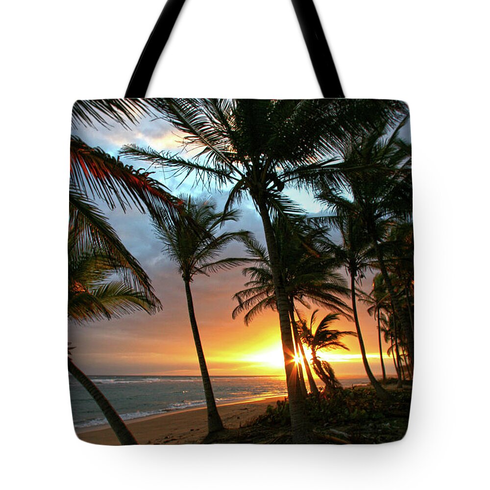 Palms Tote Bag featuring the photograph A Place I Know by Robert Och