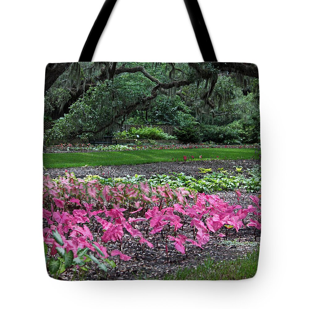 Photograph Tote Bag featuring the photograph A Place of Refuge by Suzanne Gaff