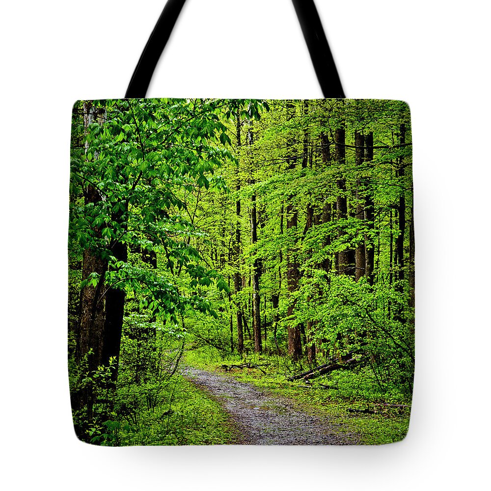 Paths Tote Bag featuring the photograph A Quiet Walkway Without Destination by Kathy McClure