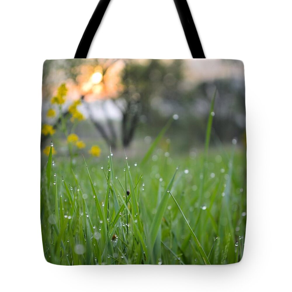 Grass Tote Bag featuring the photograph A Rabbits View by Bonfire Photography