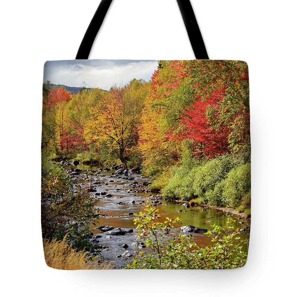 River Tote Bag featuring the photograph A River Runs Through by Alana Ranney