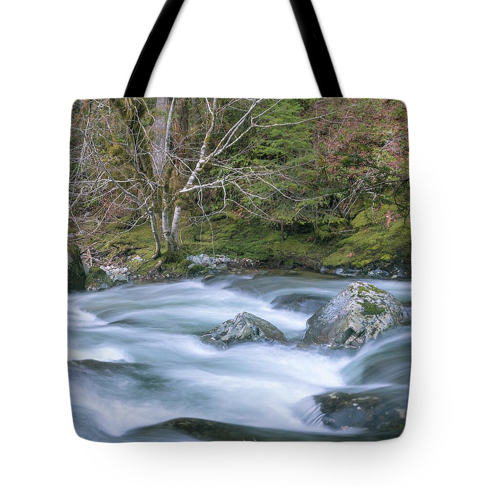Opal Creek Tote Bag featuring the photograph A River Runs Through It by Catherine Avilez