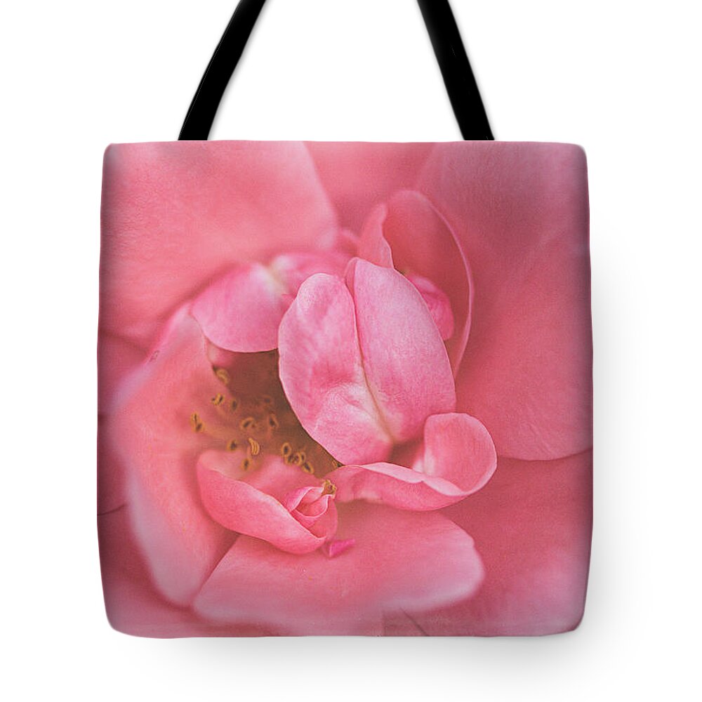 Rose Tote Bag featuring the photograph A Rose by Cindi Ressler