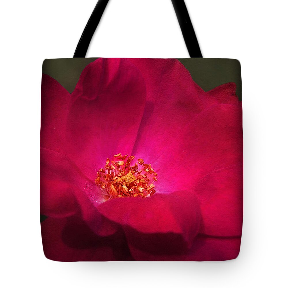 Red Rose Tote Bag featuring the photograph A Rose For My Love by Kathi Mirto