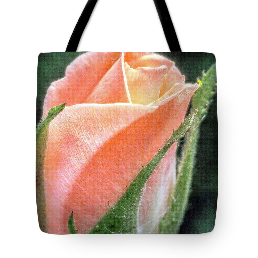 Flower Tote Bag featuring the photograph A Rose is a Rose by Winnie Chrzanowski