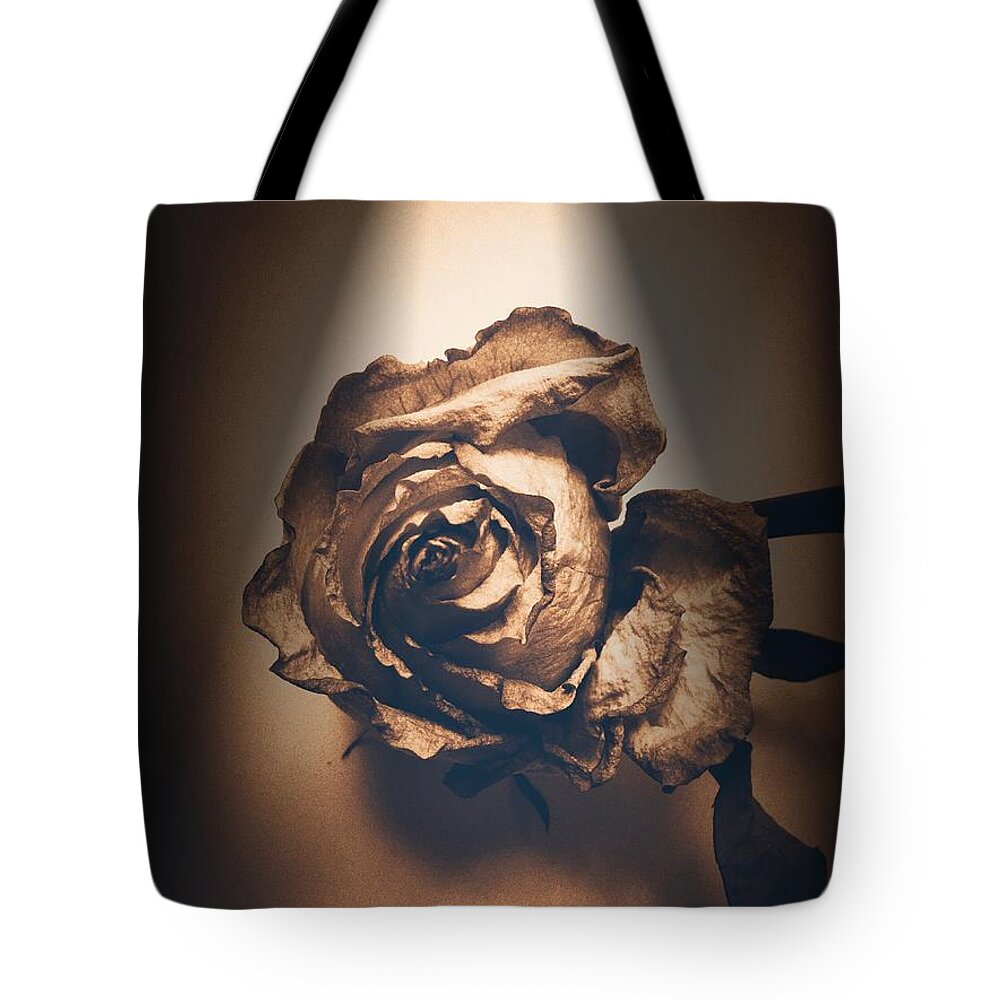 Rose Tote Bag featuring the photograph A Rose is Born by Onedayoneimage Photography
