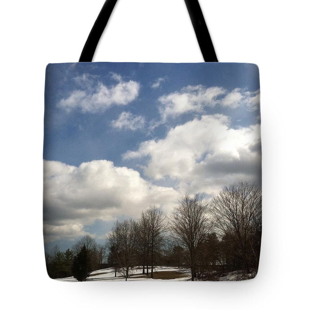 Winter Tote Bag featuring the photograph A Scenic Winter by Margie Avellino