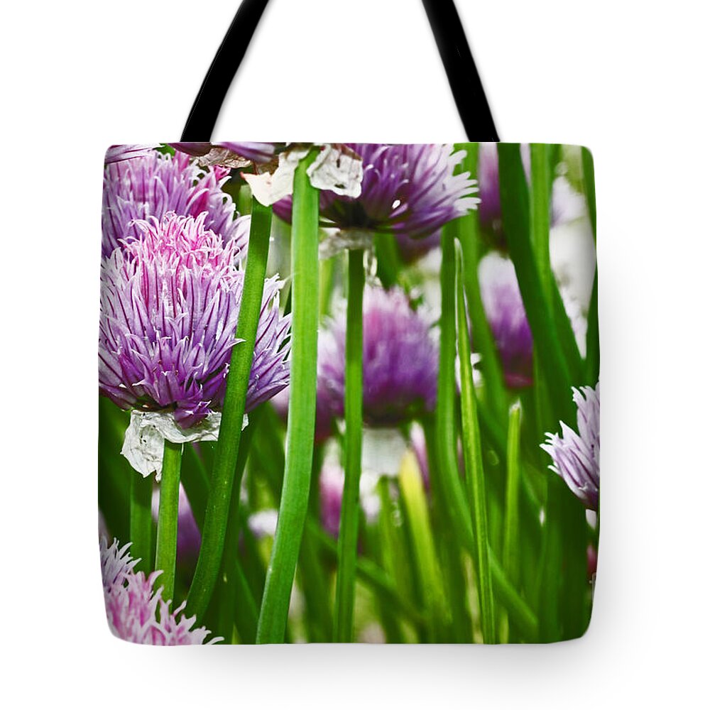  Tote Bag featuring the photograph a Sea of Clover with Purple petals by David Frederick