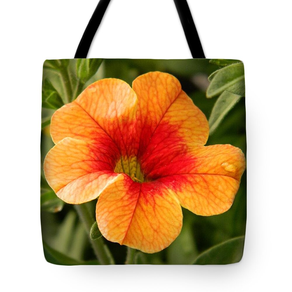 Flower Tote Bag featuring the photograph A Single Drop by Gallery Of Hope 
