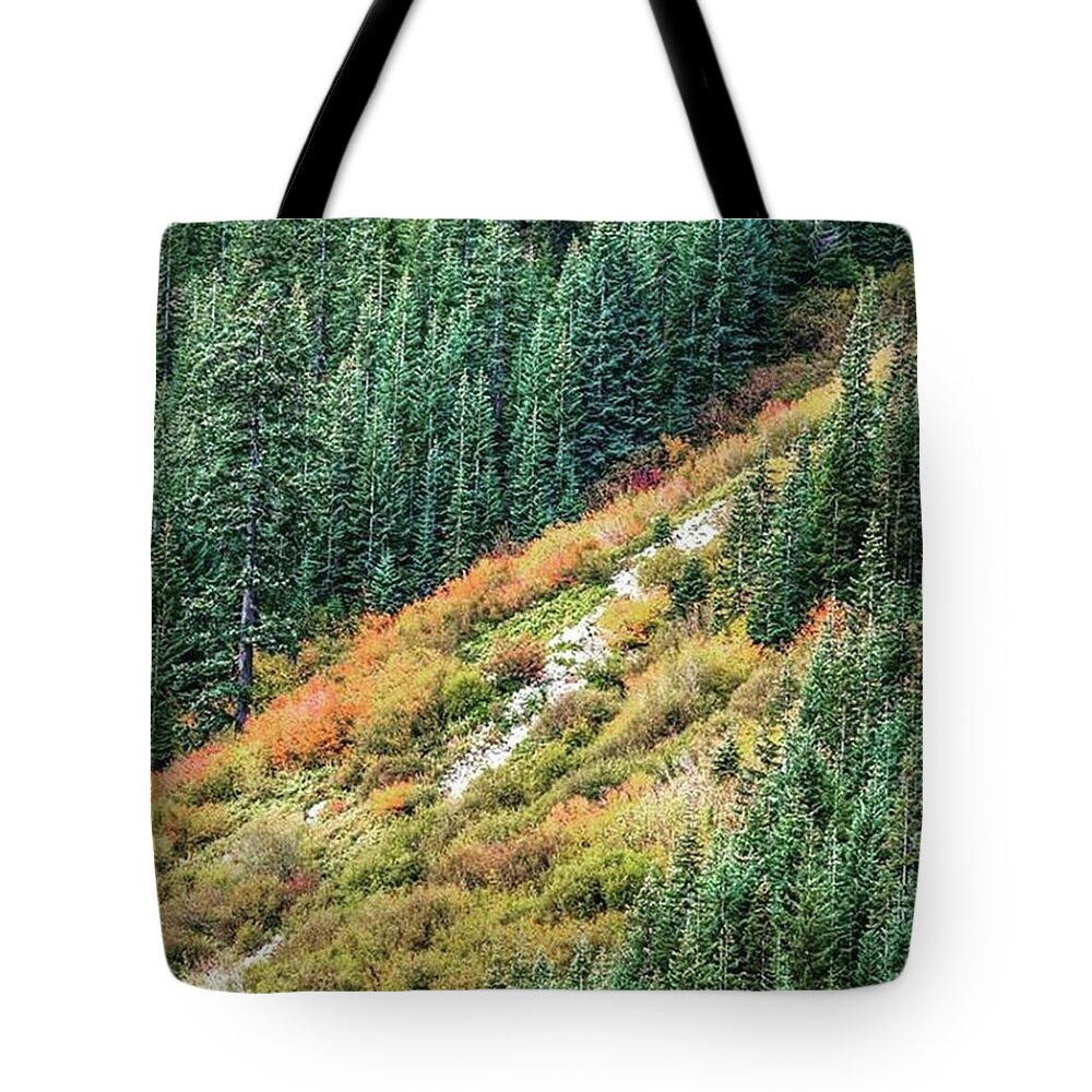 Leaves Tote Bag featuring the photograph A Slice Of Autumn. #pnw #pnwonderland by Jerry Renville