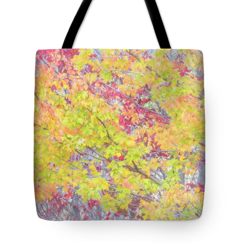 Usa Tote Bag featuring the photograph A splash of color by Usha Peddamatham