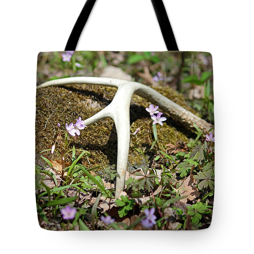 Shed Antler Tote Bag featuring the photograph A Spring Treasure by Brook Burling