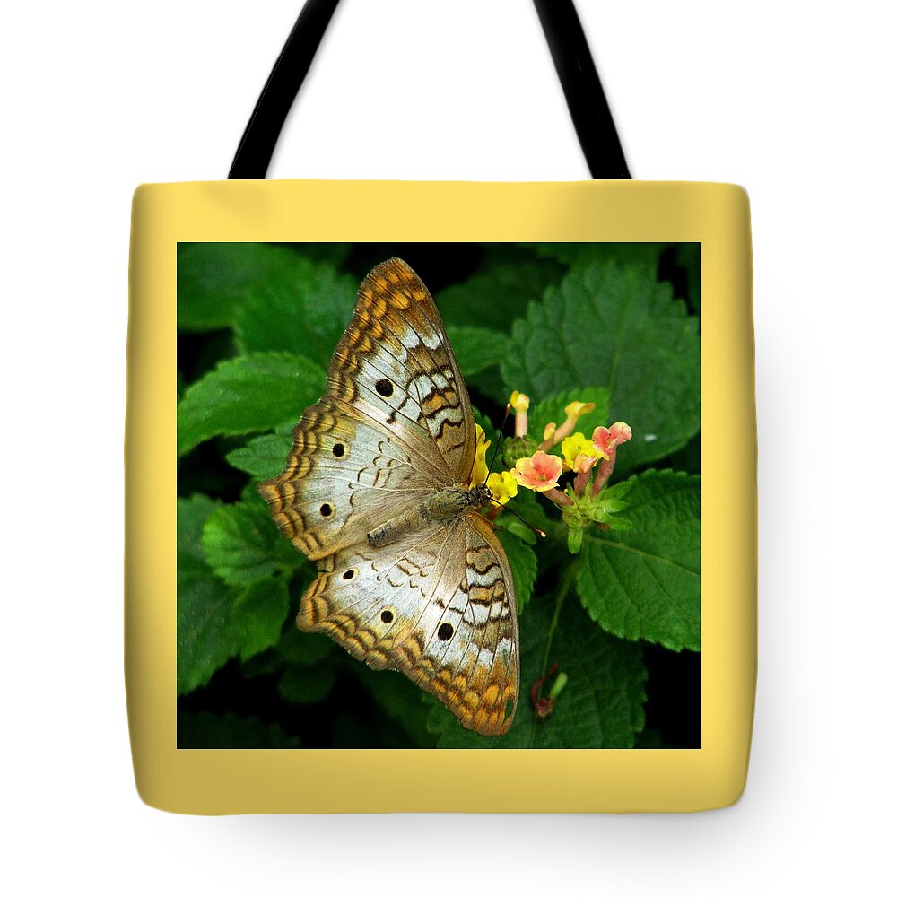 Butterflies Tote Bag featuring the photograph A Subtle Beauty by Angela Davies