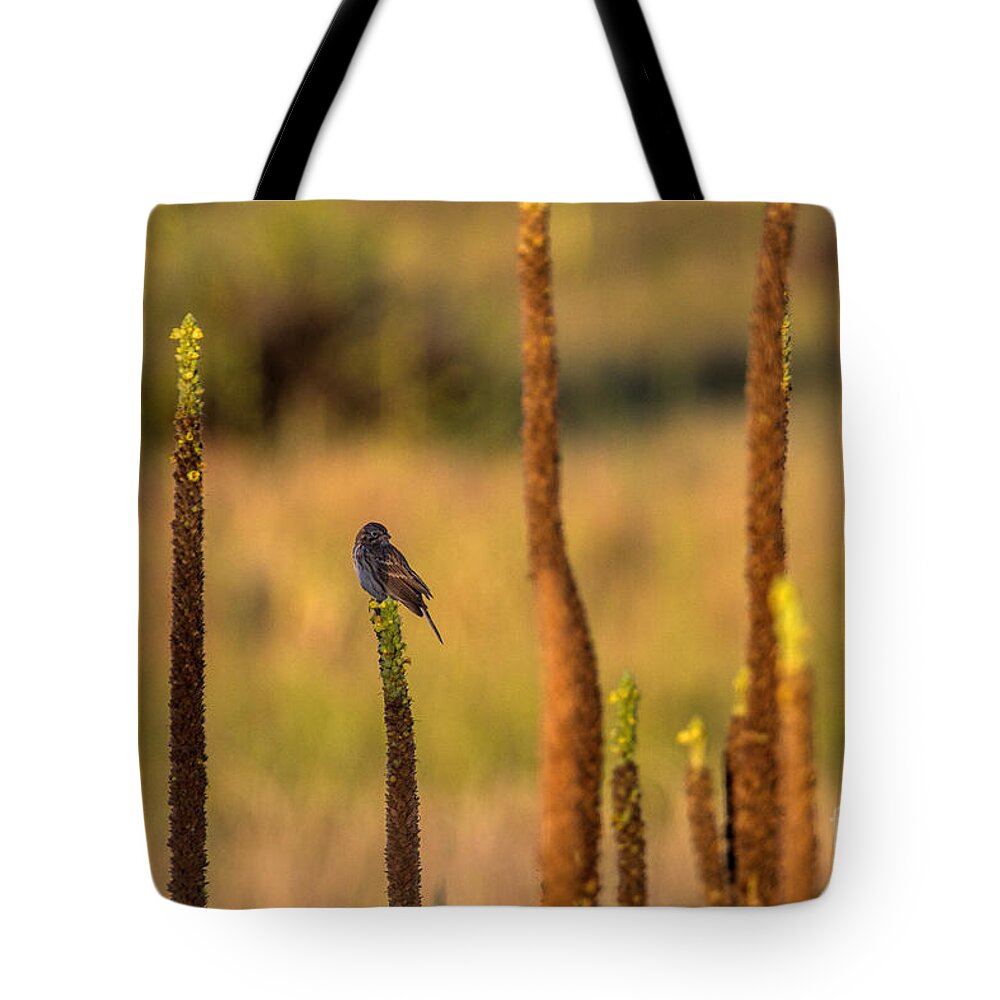 Bird Tote Bag featuring the photograph Statuary by Jim Garrison