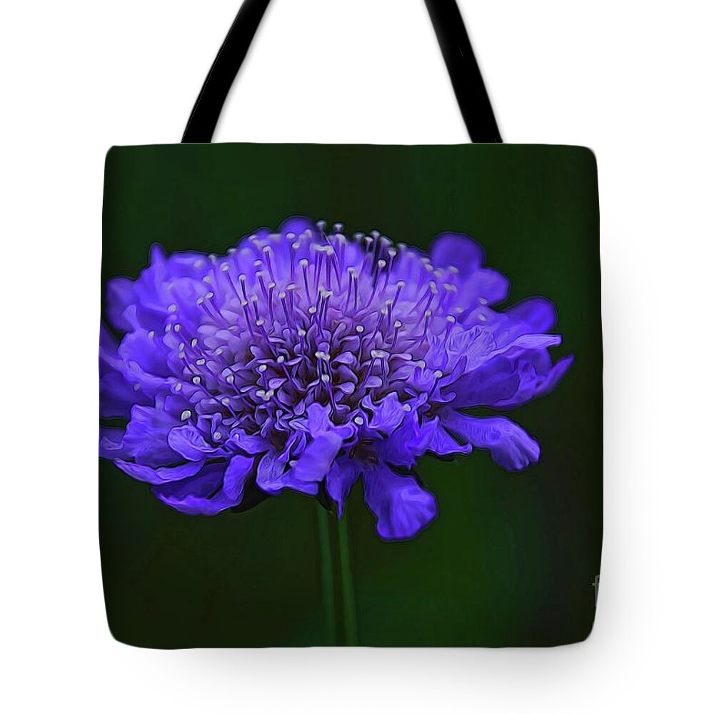 Floral Art Tote Bag featuring the photograph A Sweet Scabiosa by Diana Mary Sharpton