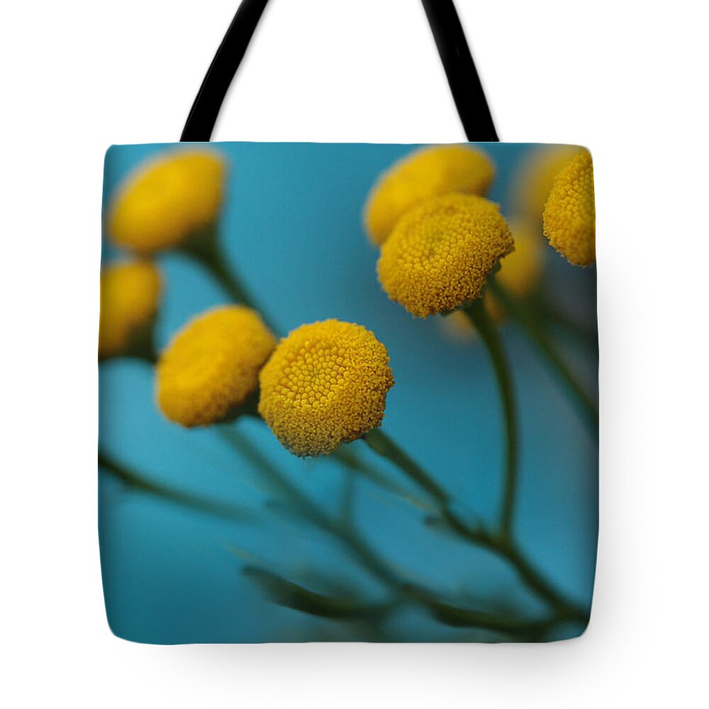 Turquoise Tote Bag featuring the photograph A Tangle Of Tansy by Connie Handscomb