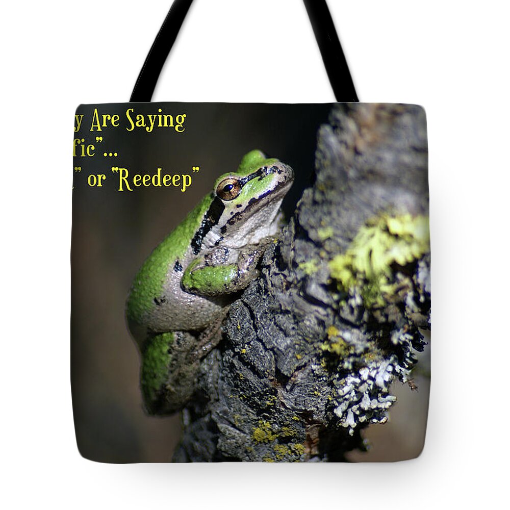 Frog Tote Bag featuring the photograph A Terrific Frog #1 by Ben Upham III